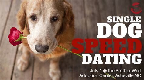 Adoption speed dating